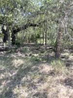 Frio Canyon Real Estate - Martin Martinez