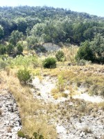 Frio Canyon Real Estate - Martin Martinez