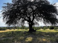 Texas Hill Country and Frio Canyon Properties with Live Water