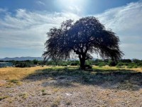 Frio Canyon Real Estate - Martin Martinez