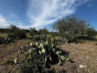 Frio Canyon Real Estate - Martin Martinez