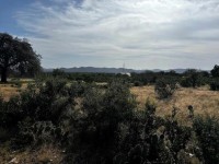 Frio Canyon Real Estate - Martin Martinez