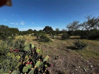 Frio Canyon Real Estate - Martin Martinez