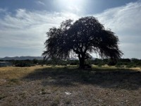 Frio Canyon Real Estate - Martin Martinez