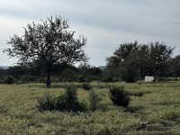 Frio Canyon Real Estate - Martin Martinez
