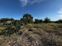 Frio Canyon Real Estate - Martin Martinez