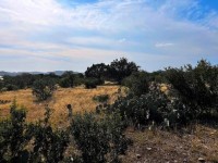 Frio Canyon Real Estate - Martin Martinez