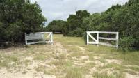 Frio Canyon Real Estate - Martin Martinez