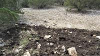 Frio Canyon Real Estate - Martin Martinez
