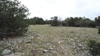 Frio Canyon Real Estate - Martin Martinez