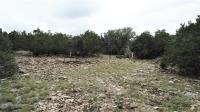 Frio Canyon Real Estate - Martin Martinez