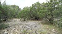 Frio Canyon Real Estate - Martin Martinez