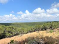 Frio Canyon Real Estate - Martin Martinez
