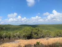 Frio Canyon Real Estate - Martin Martinez