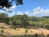Frio Canyon Real Estate - Martin Martinez