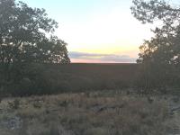 Frio Canyon Real Estate - Martin Martinez