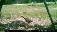 Frio Canyon Real Estate - Martin Martinez