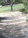 Frio Canyon Real Estate - Martin Martinez