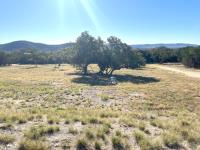 Frio Canyon Real Estate - Martin Martinez