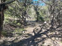 Frio Canyon Real Estate - Martin Martinez