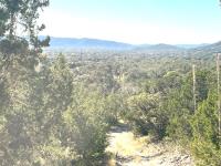 Frio Canyon Real Estate - Martin Martinez