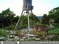 Frio Canyon Real Estate - Martin Martinez
