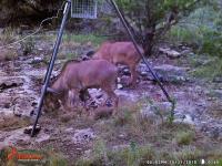 Frio Canyon Real Estate - Martin Martinez
