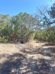 Frio Canyon Real Estate - Martin Martinez