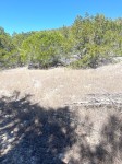 Frio Canyon Real Estate - Martin Martinez