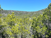 Texas Hill Country and Frio Canyon Properties with Live Water