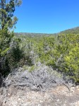 Frio Canyon Real Estate - Martin Martinez