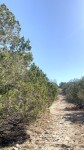 Frio Canyon Real Estate - Martin Martinez