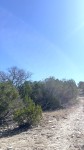 Frio Canyon Real Estate - Martin Martinez