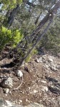 Frio Canyon Real Estate - Martin Martinez