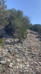 Frio Canyon Real Estate - Martin Martinez