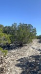 Frio Canyon Real Estate - Martin Martinez