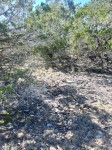 Frio Canyon Real Estate - Martin Martinez