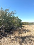 Frio Canyon Real Estate - Martin Martinez