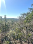 Frio Canyon Real Estate - Martin Martinez