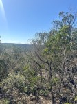 Frio Canyon Real Estate - Martin Martinez