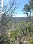 Frio Canyon Real Estate - Martin Martinez