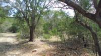 Frio Canyon Real Estate - Martin Martinez