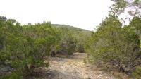 Frio Canyon Real Estate - Martin Martinez