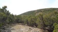Frio Canyon Real Estate - Martin Martinez