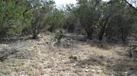 Frio Canyon Real Estate - Martin Martinez