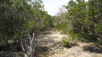 Frio Canyon Real Estate - Martin Martinez