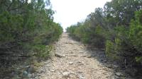 Frio Canyon Real Estate - Martin Martinez