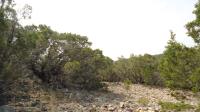 Frio Canyon Real Estate - Martin Martinez