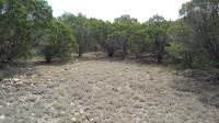 Frio Canyon Real Estate - Martin Martinez