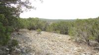 Frio Canyon Real Estate - Martin Martinez